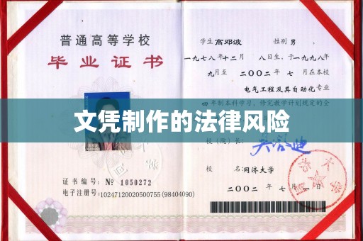 海港文凭制作的法律风险