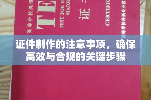 海港证件制作的注意事项，确保高效与合规的关键步骤