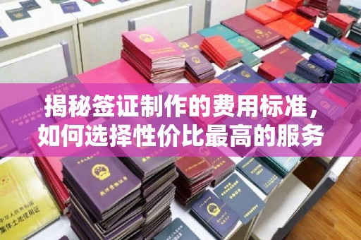 海港揭秘签证制作的费用标准，如何选择性价比最高的服务？