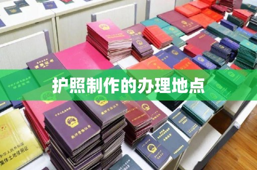 海港护照制作的办理地点
