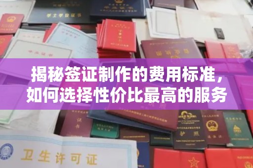 海港揭秘签证制作的费用标准，如何选择性价比最高的服务？