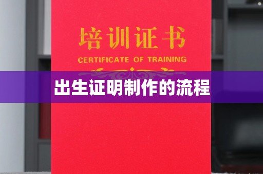 海港出生证明制作的流程